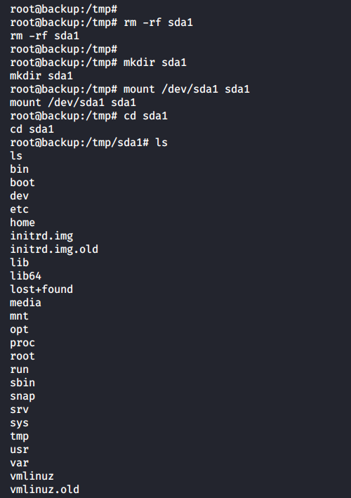 backup-mount-sda1.png